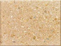 shellock_buff120_120