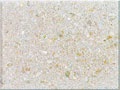 shellock_ivory120_120