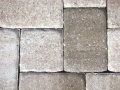 accoquinareef_120